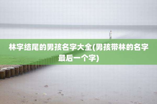 林字结尾的男孩名字大全(男孩带林的名字最后一个字)
