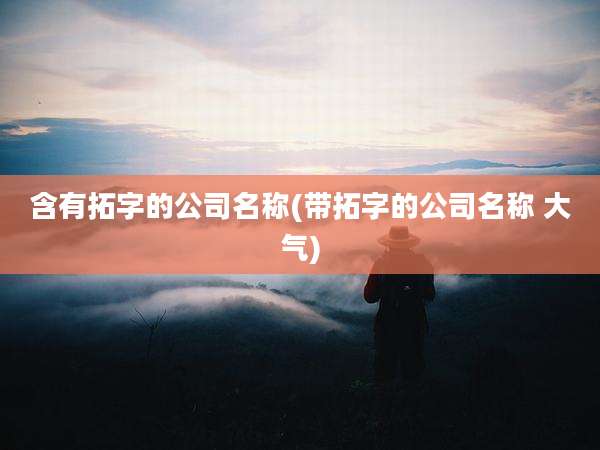 含有拓字的公司名称(带拓字的公司名称 大气)