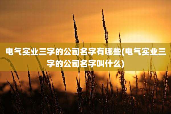电气实业三字的公司名字有哪些(电气实业三字的公司名字叫什么)