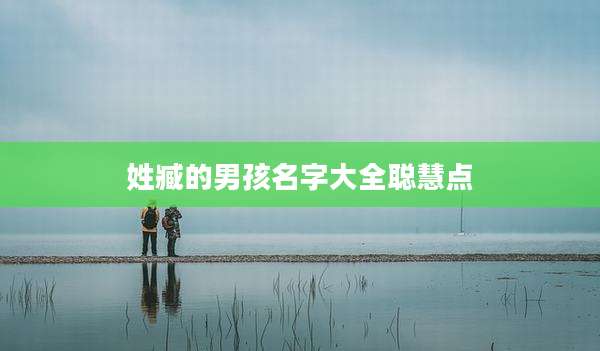 姓臧的男孩名字大全聪慧点