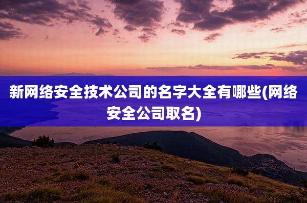 新网络安全技术公司的名字大全有哪些(网络安全公司取名)