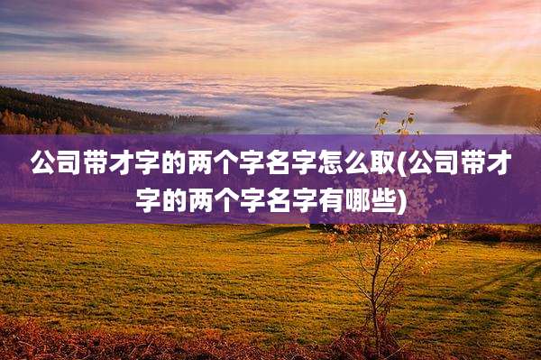 公司带才字的两个字名字怎么取(公司带才字的两个字名字有哪些)