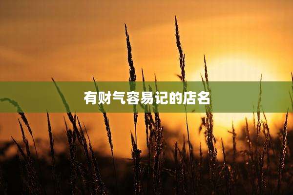 有财气容易记的店名