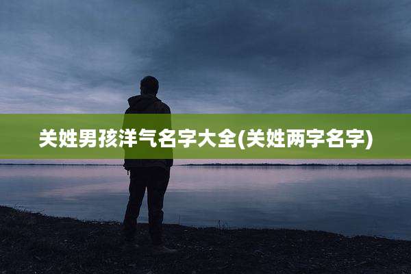 关姓男孩洋气名字大全(关姓两字名字)