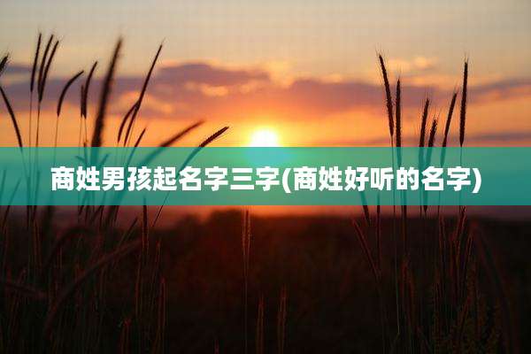 商姓男孩起名字三字(商姓好听的名字)