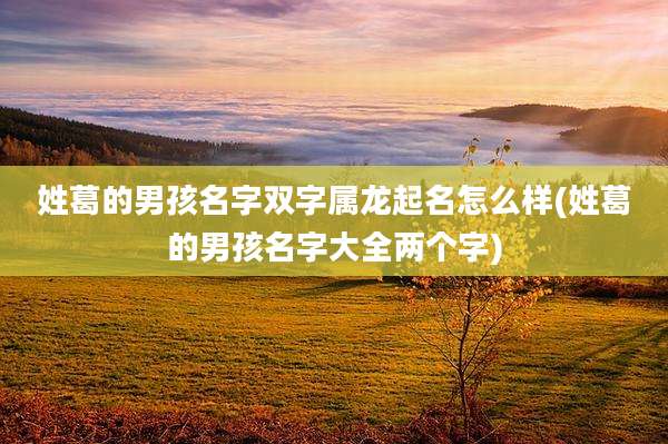 姓葛的男孩名字双字属龙起名怎么样(姓葛的男孩名字大全两个字)