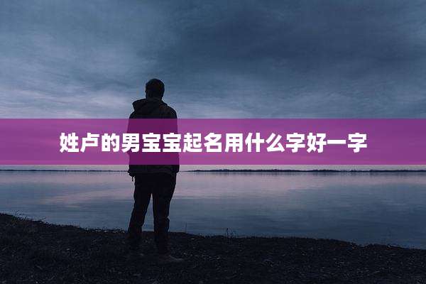 姓卢的男宝宝起名用什么字好一字