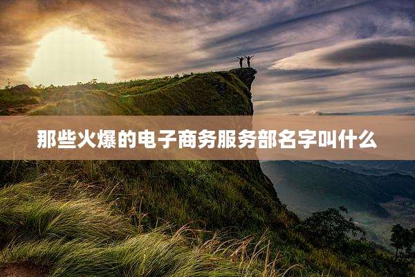 那些火爆的电子商务服务部名字叫什么