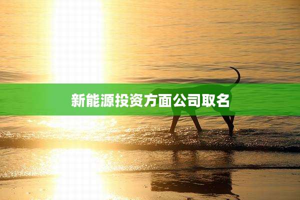新能源投资方面公司取名