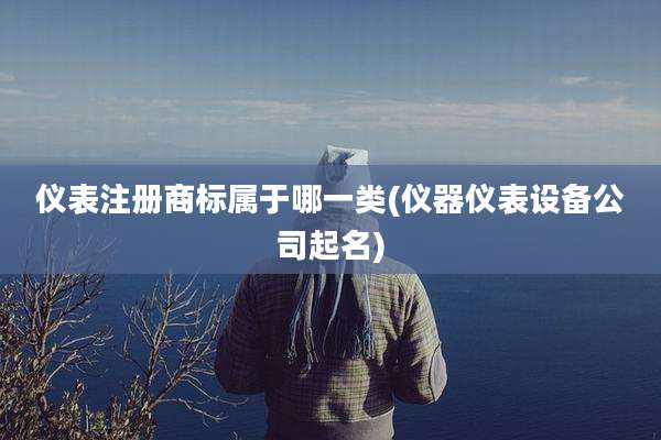 仪表注册商标属于哪一类(仪器仪表设备公司起名)