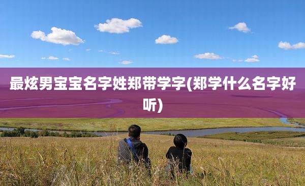 最炫男宝宝名字姓郑带学字(郑学什么名字好听)