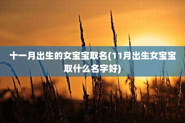 十一月出生的女宝宝取名(11月出生女宝宝取什么名字好)