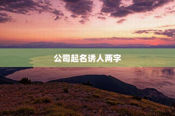 公司起名诱人两字