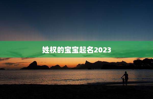 姓权的宝宝起名2023