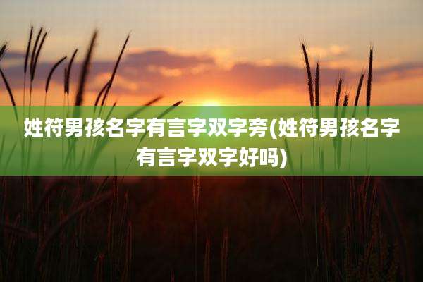 姓符男孩名字有言字双字旁(姓符男孩名字有言字双字好吗)