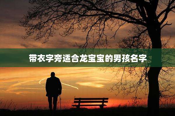 带衣字旁适合龙宝宝的男孩名字