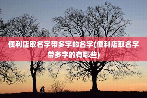 便利店取名字带多字的名字(便利店取名字带多字的有哪些)