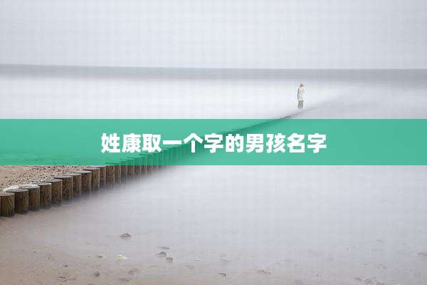 姓康取一个字的男孩名字