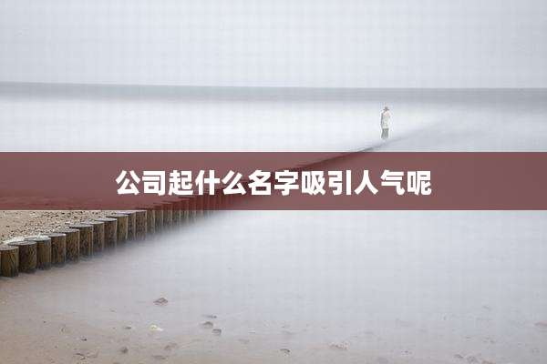 公司起什么名字吸引人气呢