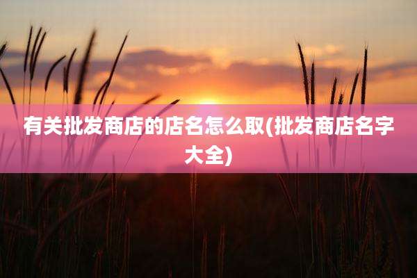有关批发商店的店名怎么取(批发商店名字大全)
