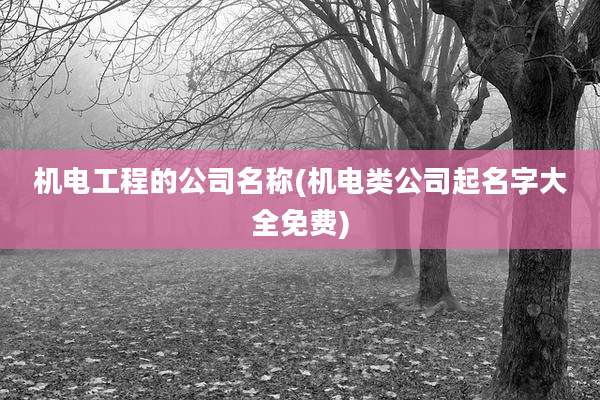 机电工程的公司名称(机电类公司起名字大全免费)