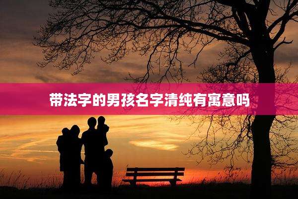 带法字的男孩名字清纯有寓意吗