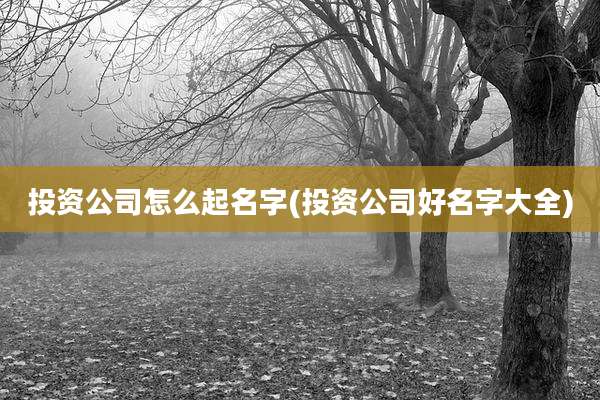 投资公司怎么起名字(投资公司好名字大全)