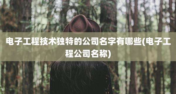 电子工程技术独特的公司名字有哪些(电子工程公司名称)