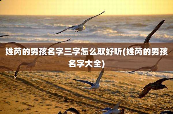 姓芮的男孩名字三字怎么取好听(姓芮的男孩名字大全)