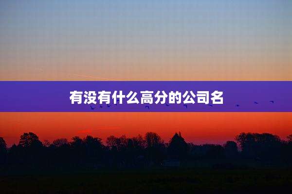 有没有什么高分的公司名