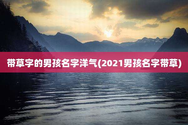 带草字的男孩名字洋气(2021男孩名字带草)