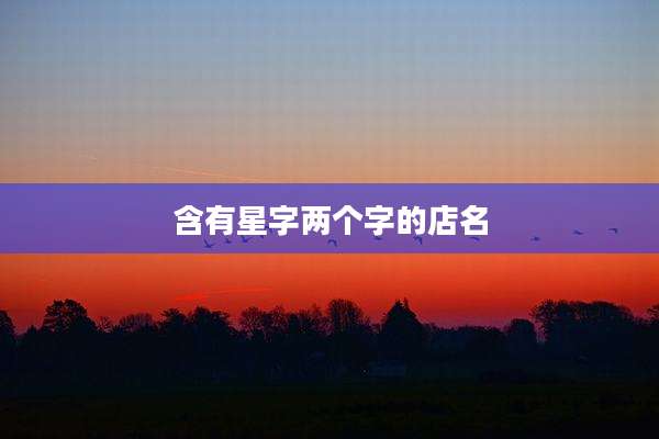 含有星字两个字的店名