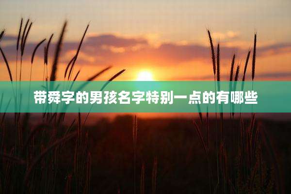 带舜字的男孩名字特别一点的有哪些