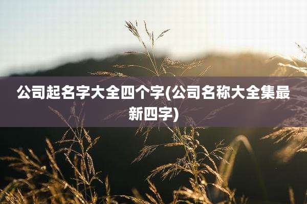 公司起名字大全四个字(公司名称大全集最新四字)