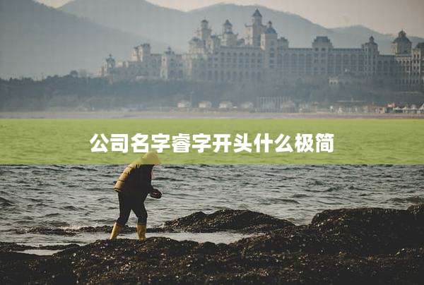 公司名字睿字开头什么极简