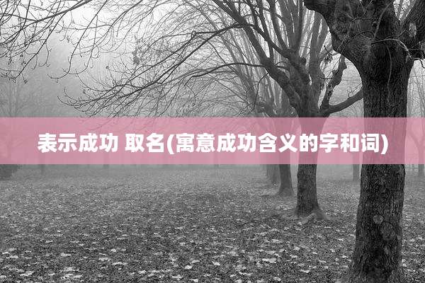 表示成功 取名(寓意成功含义的字和词)
