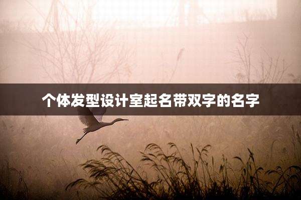 个体发型设计室起名带双字的名字