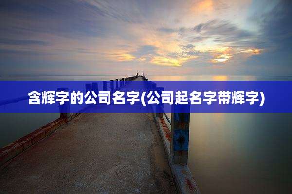含辉字的公司名字(公司起名字带辉字)