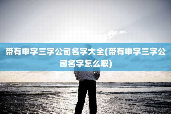 带有申字三字公司名字大全(带有申字三字公司名字怎么取)