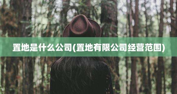置地是什么公司(置地有限公司经营范围)
