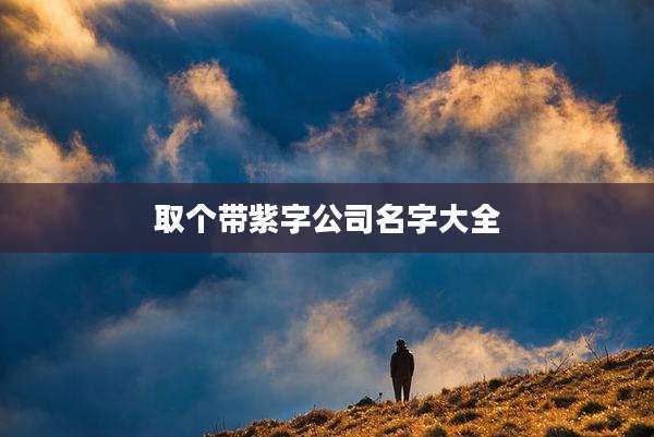 取个带紫字公司名字大全
