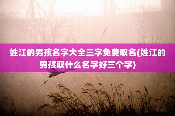 姓江的男孩名字大全三字免费取名(姓江的男孩取什么名字好三个字)