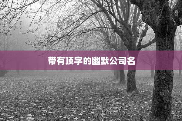 带有顶字的幽默公司名