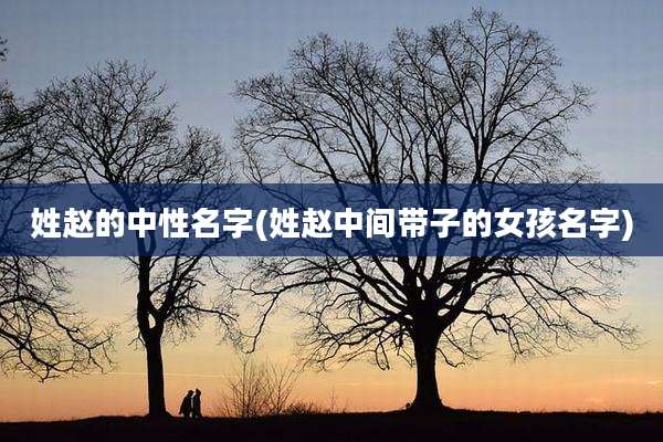 姓赵的中性名字(姓赵中间带子的女孩名字)