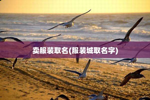 卖服装取名(服装城取名字)