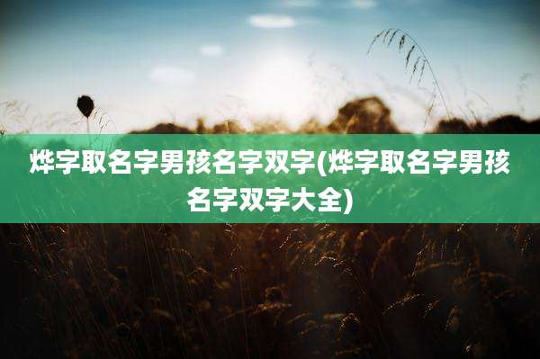烨字取名字男孩名字双字(烨字取名字男孩名字双字大全)