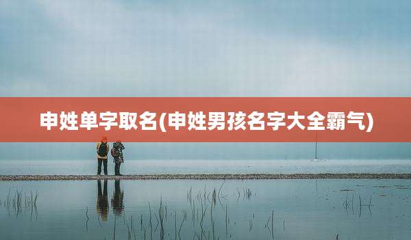 申姓单字取名(申姓男孩名字大全霸气)