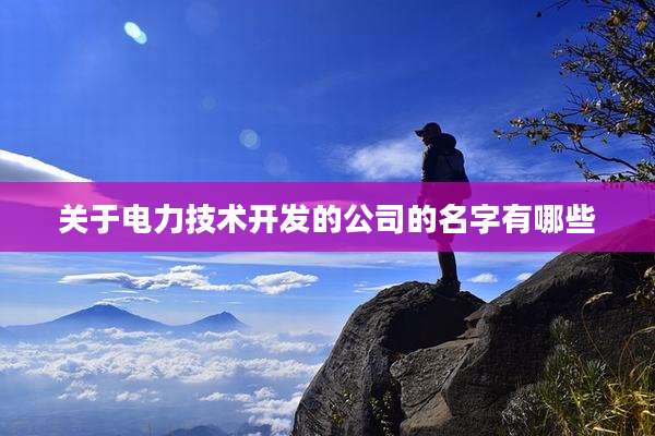 关于电力技术开发的公司的名字有哪些