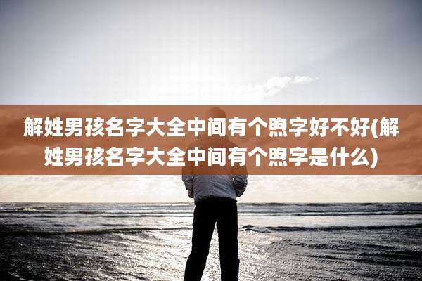 解姓男孩名字大全中间有个煦字好不好(解姓男孩名字大全中间有个煦字是什么)