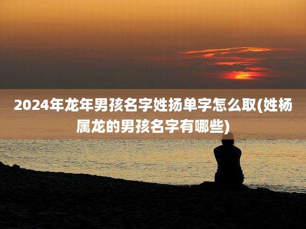 2024年龙年男孩名字姓扬单字怎么取(姓杨属龙的男孩名字有哪些)